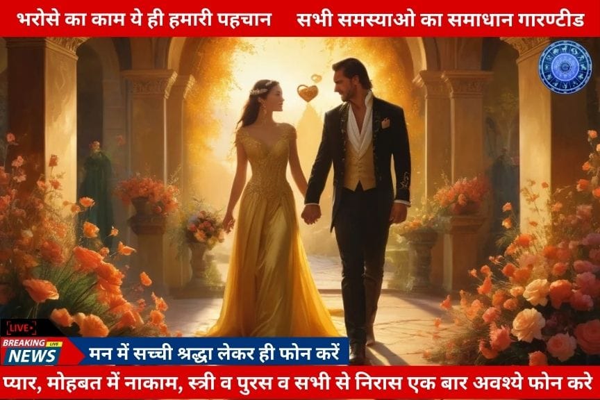 Love Problem Solution Expert Astrologer